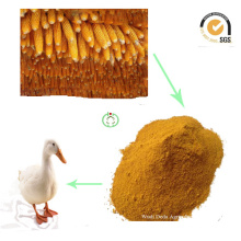 Corn Gluten Meal Animal Feed Hot Sale